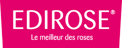 Edirose